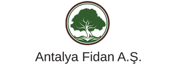 antalya-fidan-logo